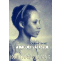 adrienne-kennedy-a-bagoly-valaszol-ot-egyfelvonasos
